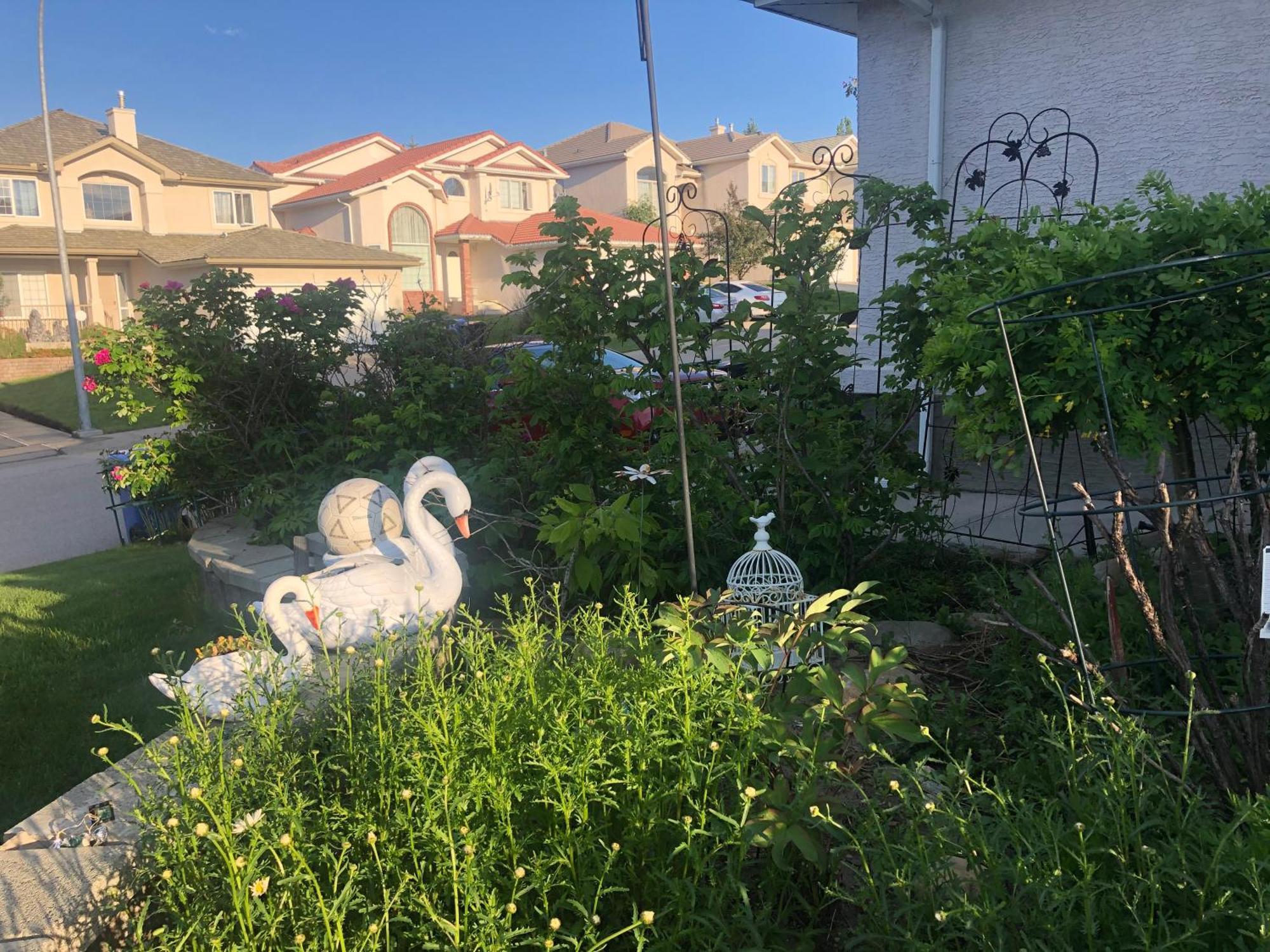 Hamptons Rose Garden Family! Hotell YYC Eksteriør bilde